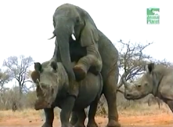 Журнал рекордов.