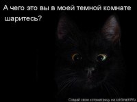 Кошачий Hardcore