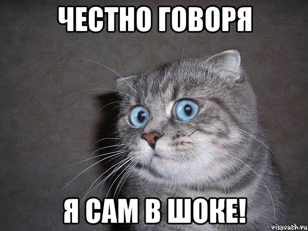 Полиция наведалась домой к мелком преступнику