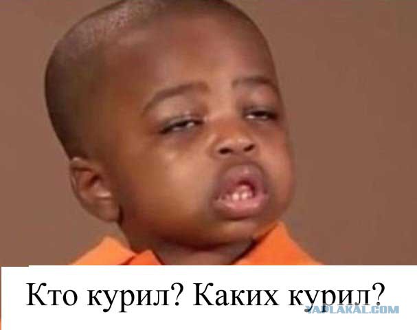 Япония хочет обсудить с Путиным вопрос Курил