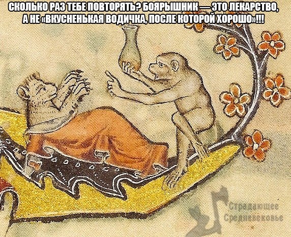 Предновогоднее средневековое веселье