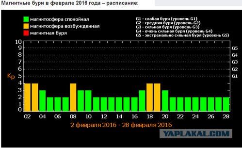 Бабка в салоне сотовой связи: "Гадость у вас ***"