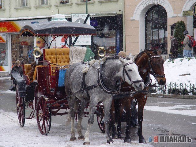 ЗИМА. Зимние картинки, отмороженная подборка