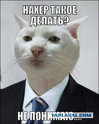 8 наших и зарубежных звезд, которые изуродовали себя пластикой