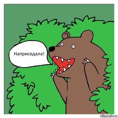 Прикольные женские спортивные штаны