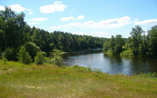 В Ивановской области водятся крокодилы