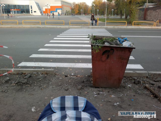 Подборка любопытных фотографий со всего света