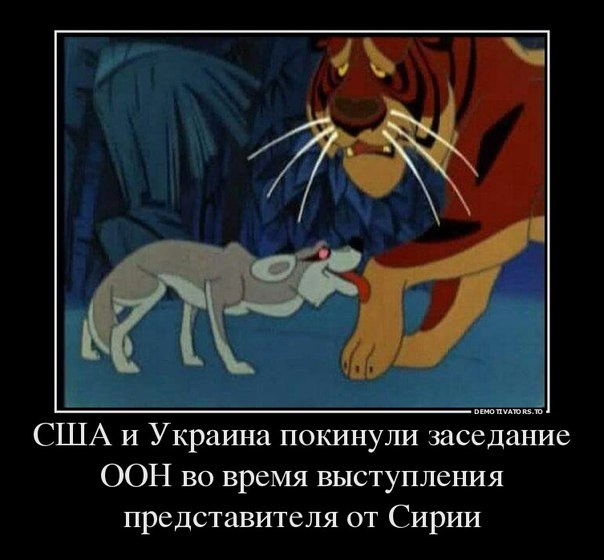 Россия наложила вето на французскую резолюцию по Сирии.
