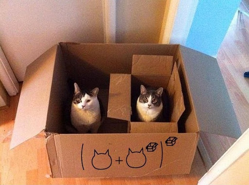 Котопрятки