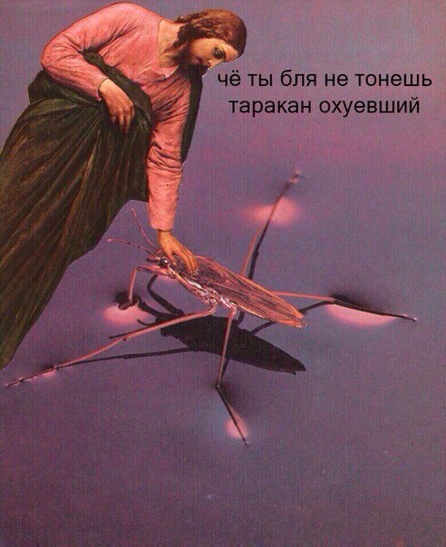 Абсурд зашкаливает