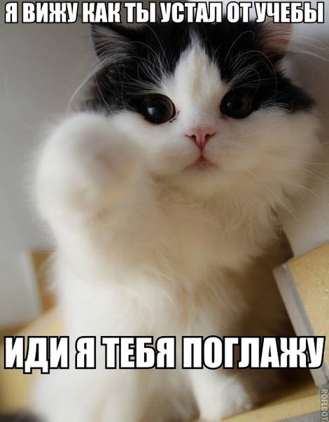 Всякие разные картинки