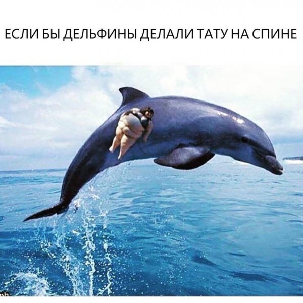Приколы в стиле "регресс"