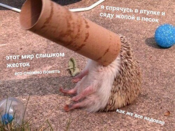 Приколы в стиле "регресс"