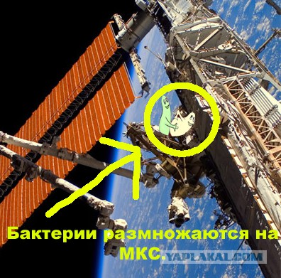 Найдена внеземная жизнь