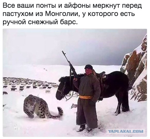 Тупанём?