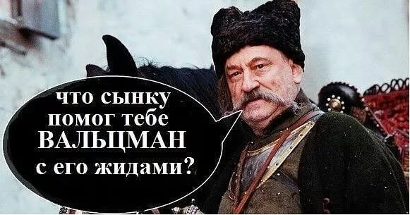 Почему люди позволяют относиться к себе как к скоту?