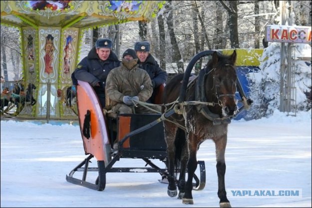 Автомобили нью-йоркской полиции