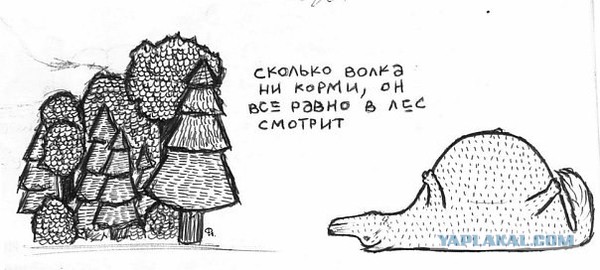 Удачно поохотилась...