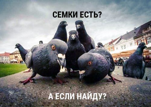 АУЕ- идеология слабых?