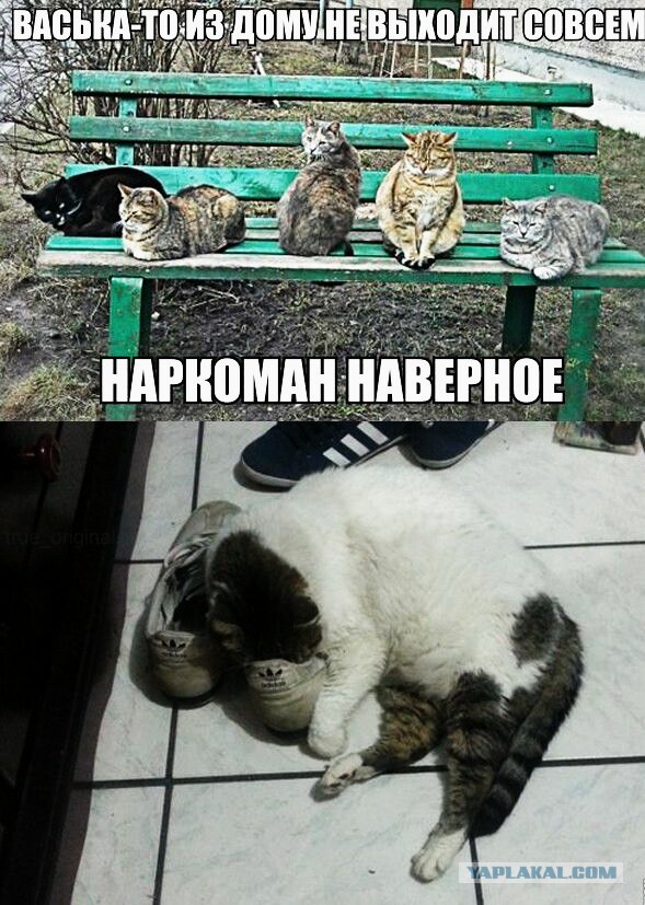Наркомания, весеннее обострение и деградация