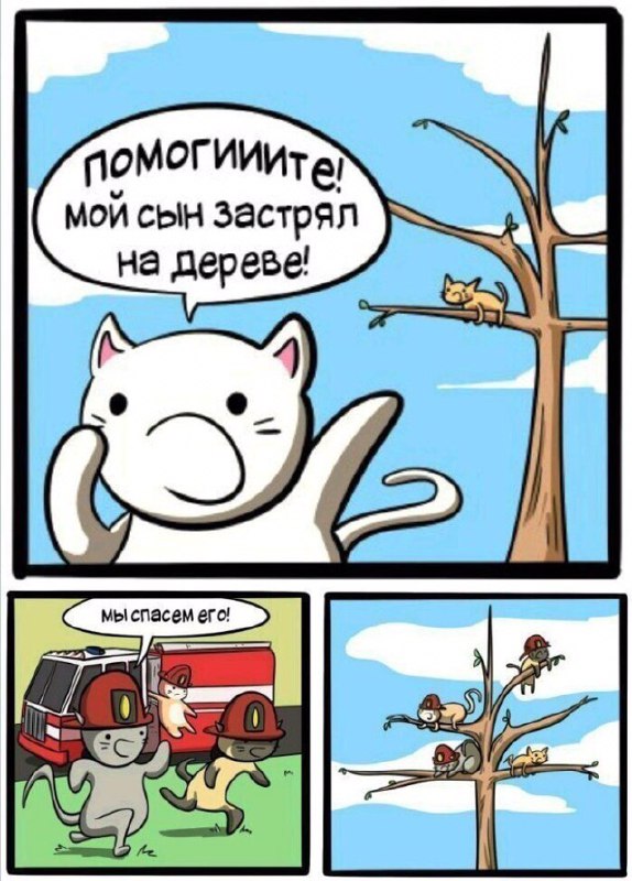 S-котство