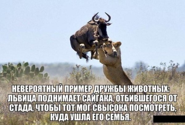 Росгвардия: несовершеннолетний, госпитализированный после избиения бойцом ОМОНа на митинге 12 июня, сам провоцировал его
