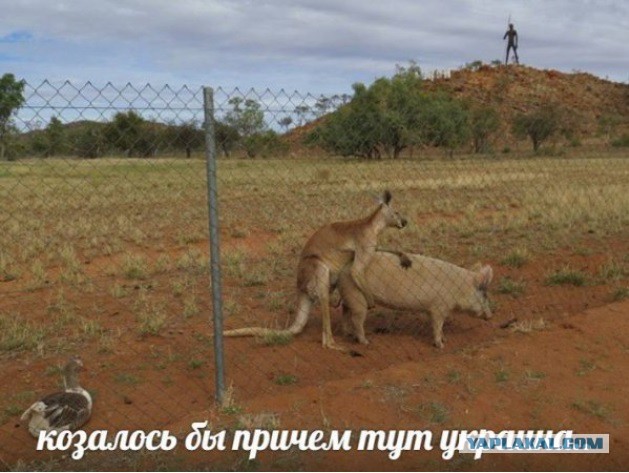 Поездка в Киев на машине из Ростовской области