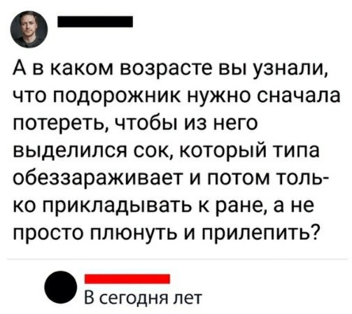 15 удивительных растений, которые вы едите, но не знаете, как они растут