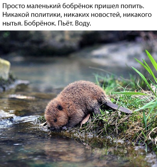 Чуток картинок. Ночные 5