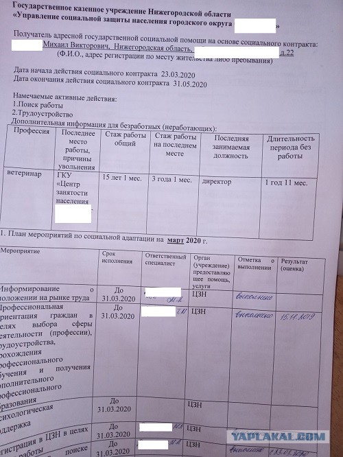 Реально ли получить выплаты в Подмосковье по безработице? Мой опыт