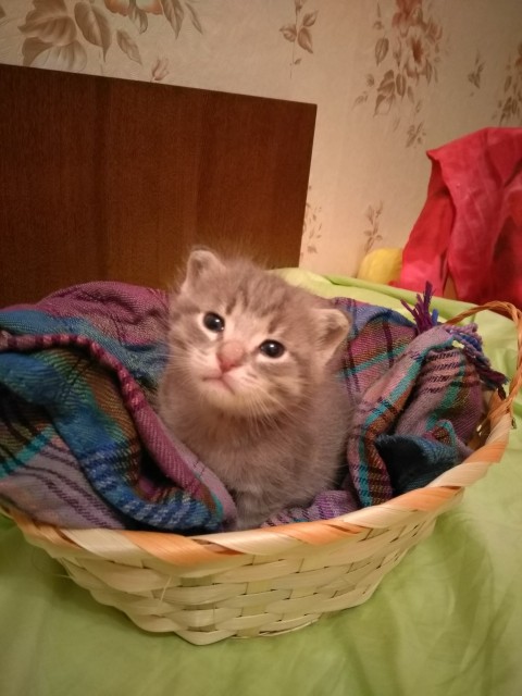 Вот что значит работать в выходной
