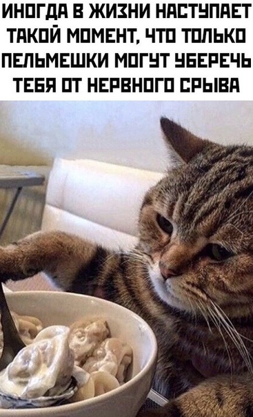 Немного картинок для настроения 21.06.20