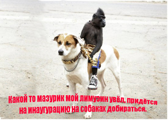 Черный всадник