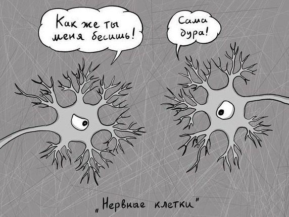 Картинки разные 08.10.2020