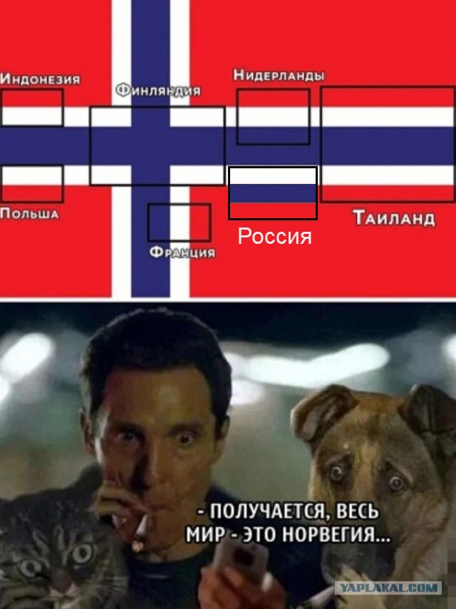 Бредзона 23.10.2020