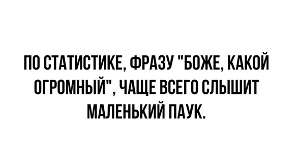 Немного картинок для настроения 14.11.20