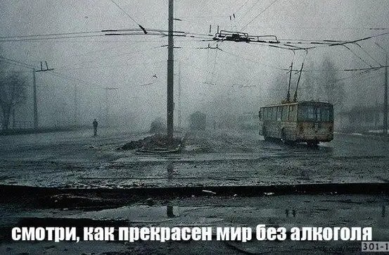 Минус 20 миллионов за 30 лет. В России прогнозируют резкое снижение населения.