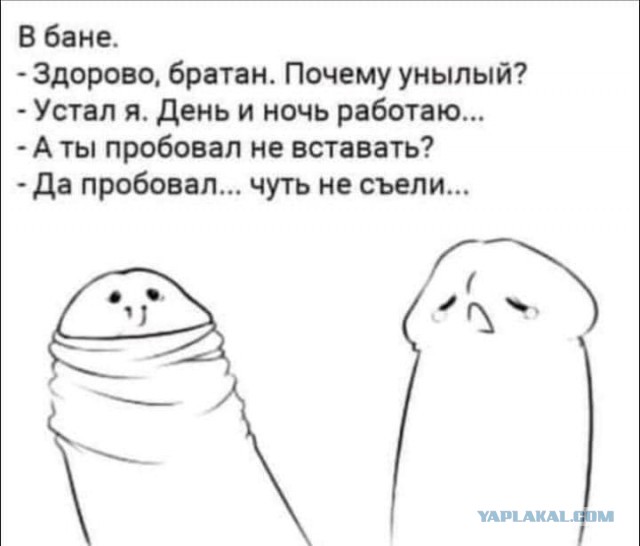 Бредзона 19.12.20