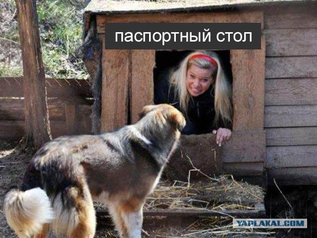 Фотожаба: Собака с Девушкой