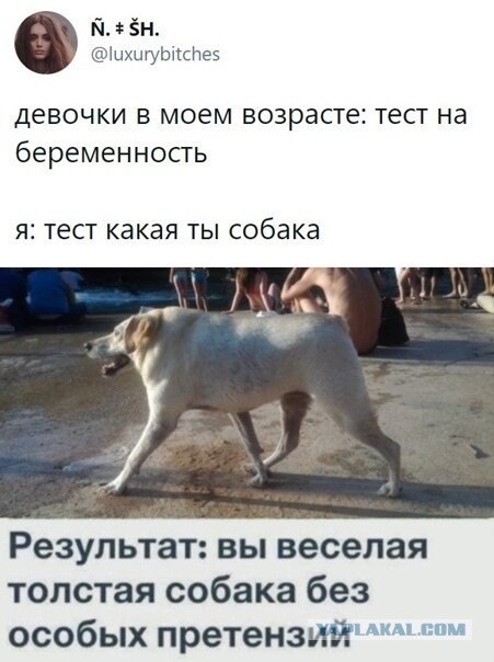Слегка об этом