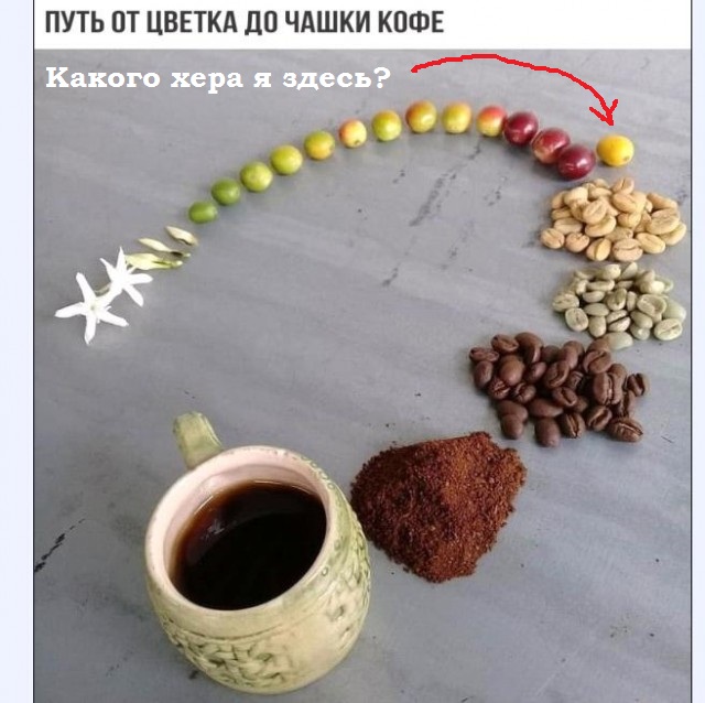 Картинки и мемы для настроения 011