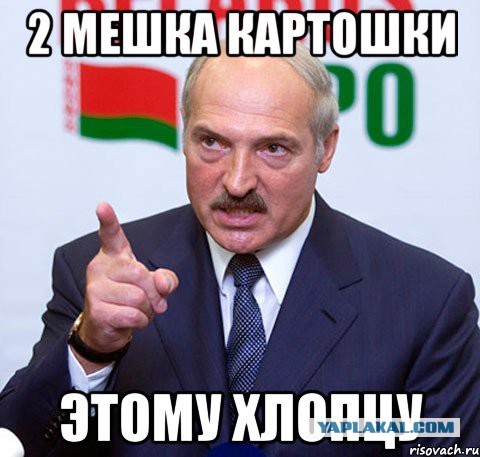 Удобная женщина для харизматичного мужчины