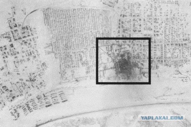 "Группу Дятлова на перевале убила фотобомба": данные архивов США