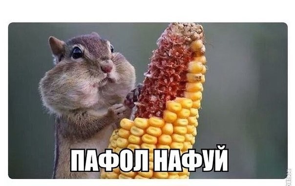 Блокирование имущества Российской Федерации находящейся в США