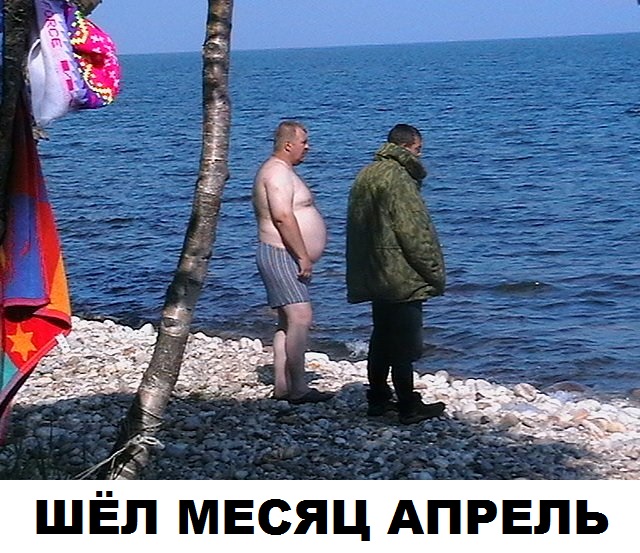 Скотсети и прочие интернеты 23.04.2021
