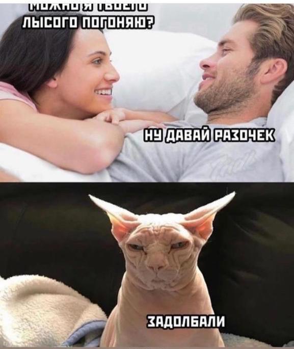 Весёлый полтишок 23.04