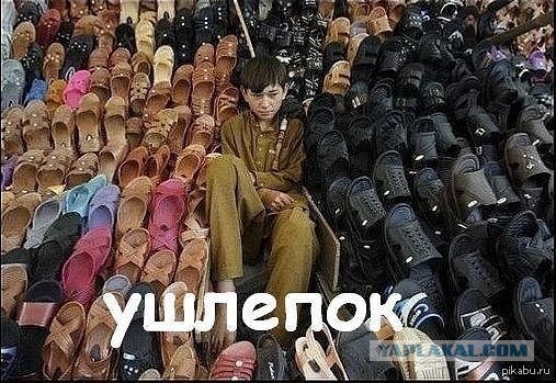 Дырокот
