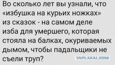 Весёлый полтишок 20.07