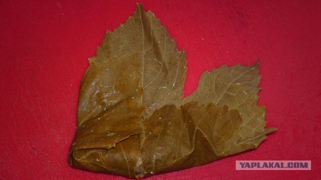 Долма с двуми начинками.