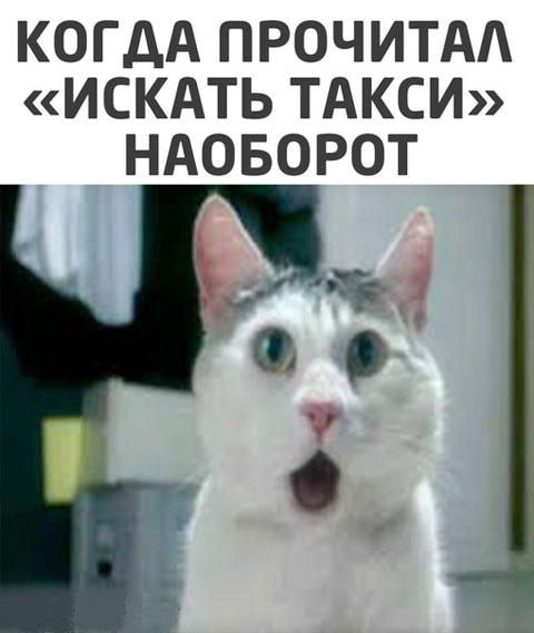 Чуток картинок 16.02.22